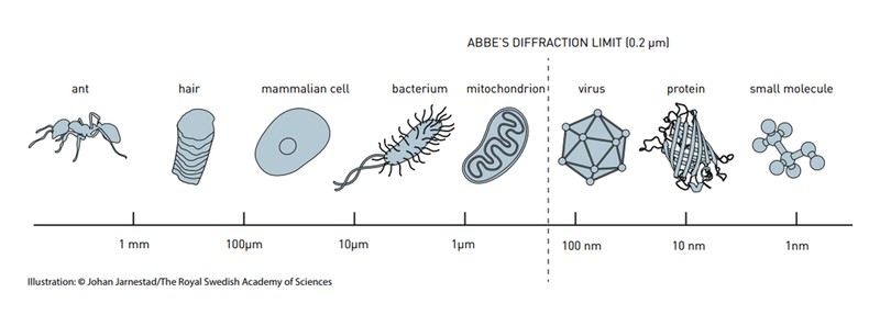 Illustration for article titled Nobel de Química a Betzig, Hell y Moerner, creadores del nanoscopio